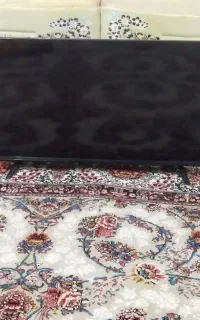 تلویزیون