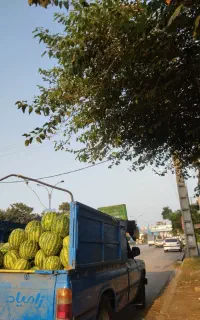 هندوانه شیرین