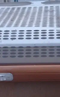 هود