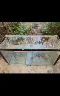 شیشه اکواریوم