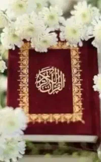 فالگیری سید