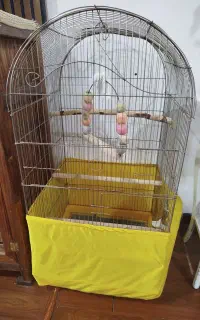 قفس طوطی بزرگ