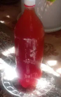 فروش ابغوره
