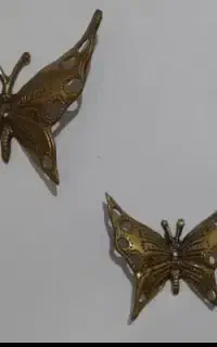 پروانه برنز