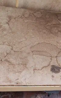 تخت فلزی