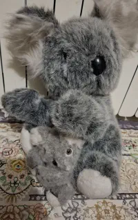 عروسک کوالا