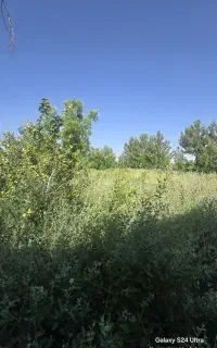 گاوداری