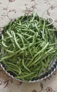 لوبیا سبز