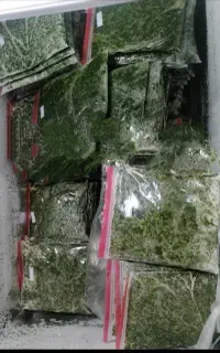 سری خورشت وماهی وکوکو واش