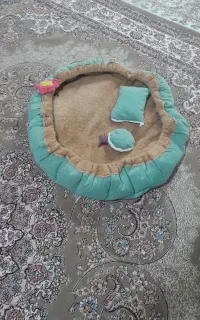 جاخواب گربه وسگ