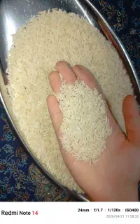 برنج درجه یک مال خودمون هستش