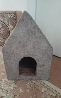لانه گربه