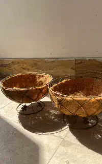 سبد