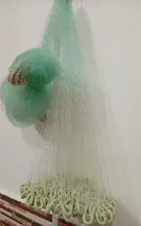 تور ماهیگیری