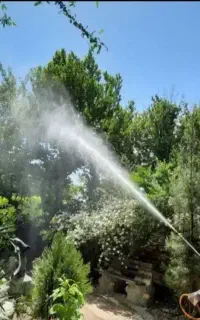 خدمات باغبانی و سمپاشی  در تمام نقاط شهر