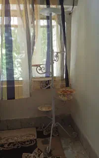 فرفوژه زیر گلدانی