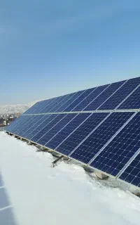 موتور برق نخر