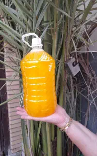 شوینده ها