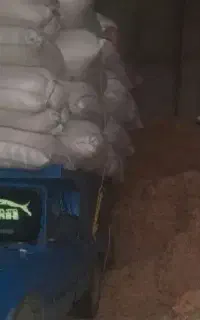 کاه گرگرو
