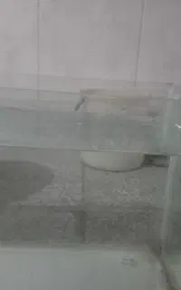 آکواریوم