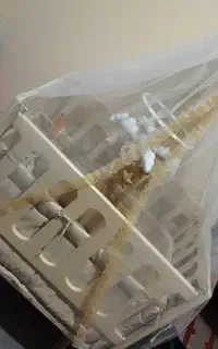 گهواره تخت کنار مادر تخت نوزاد کریر کالسکه سیسمونی