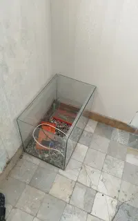 آکواریوم