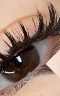 کاشت مژه            هیدن و اکستیشن