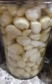 سیر