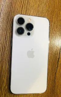 13 pro
