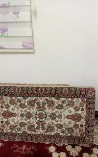 ۶عددپشتی
