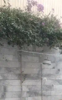 نیروی نظافت 35 ساله آقا هستم