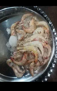 میگو مطاف فقط سایز بزرگ ارسال به سراسر کشور