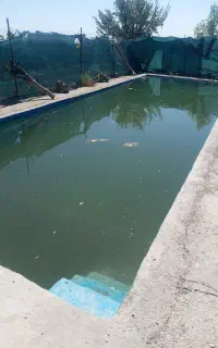 فروش زمین کشاورزی پسته واقع در روستای چلونک