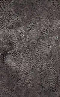 گیپور باگل مخمل