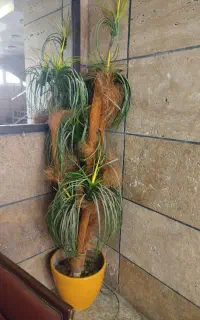 درخت نخل مصنوعی