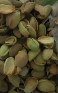 پوسته بادام خشک و تر