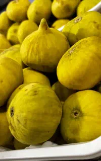 انجیر زرد و رَش