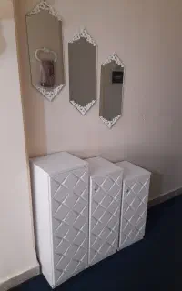 جاکفشی ۳قلو با آینه