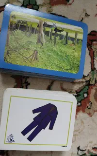 فلش کارت زبان کودک
