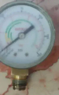گیج خوب وسالم واصل ناتالی