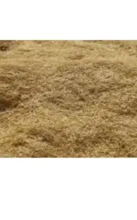 خرید کاه گندم