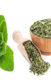 پونه کوهی