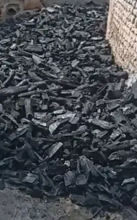 ذغال کبابی درجه یک