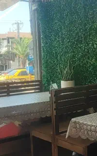 استخدام