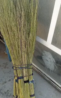 جارو‌