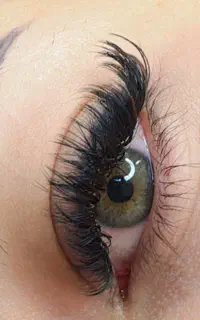 آموزش و خدمات مژه تضمینی