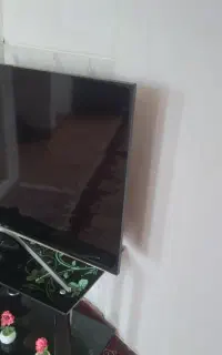تلویزیون