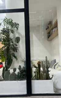 ساخت سایت و منوی کافه رستوران