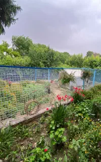 استخدام سرایدار برای باغ