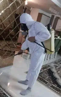 سمپاشی تخصصی سم پاشی شرکتی با ضمانت کتبی معتبر